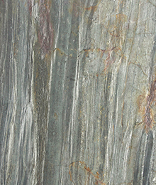 Burning Forest Copper