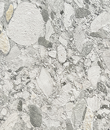 Fossil Granite